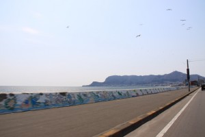 函館山と津軽海峡 函館山と津軽海峡